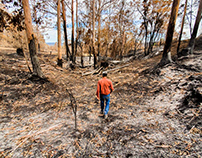 2019 Fires: Pechey, Queensland