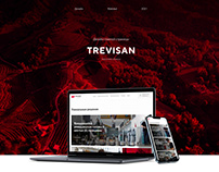 Дизайн главной страницы компании Trevisan