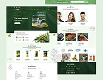 Ayurveda Website Design - UI/UX For Ayurvedic Website