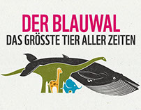 WWF Deutschland: #Hope4Whales (Animated Infographics)