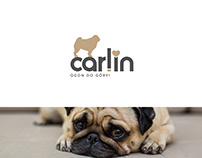 carlin logo | 2021