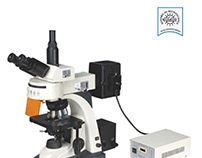 Fluorescence Microscope: Everything You Need To Know