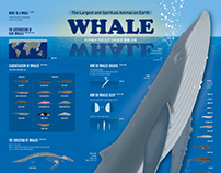 2022_08-19_Whale