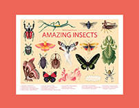 AMAZING INSECTS 1