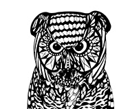 Owl in Zentangle Pattern
