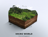 Microworld - Photomanipulation / Illustration