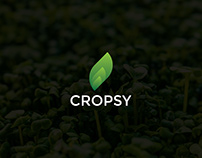 Cropsy | High Quality Fruits