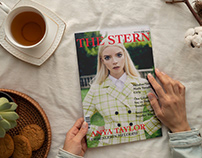 The Stern Magazine