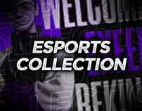 Esports Collection