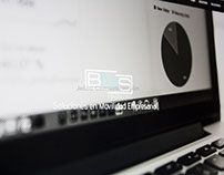 WEBSITE BMS CONSULTING