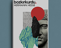 Hermann Hesse - Bozkırkurdu Book Cover