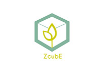 ZcubE Logo Process