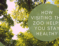 How Visiting the Zoo Helps You Stay Healthy