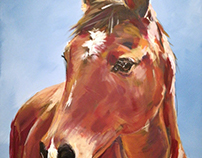 Portrait of a beautiful fulvous horse