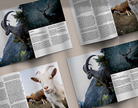 Goat | Editorial Design