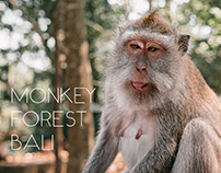 Monkey Forest || October 2019