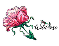 Vector graphics with wild rose flowers