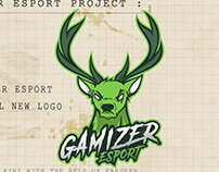 GAMIZER ESPORT PROJECT