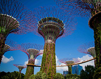 'Gardens by The Bay' - Singapore