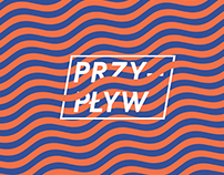 Przypływ. Young Contemporary Polish Art
