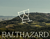 Vins Balthazard | lg2
