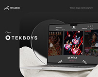 TekBoys Toys and Figures e-commerce website