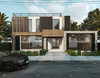 Modern Villa Architecture