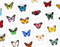 Butterfly Illustrations