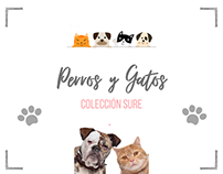 Colección Perros y Gatos 🐾