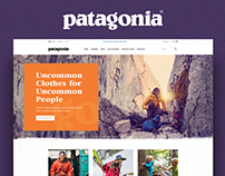 Patagonia Website Concept