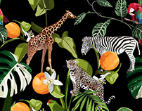 Wild animals (giraffe, cheetah, zebra) in savannah.