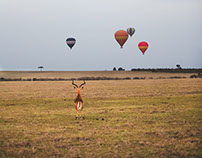 Masai Mara, Kenya /Part 3