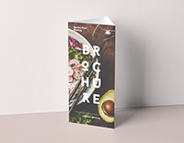 Triangle DL Brochure Stand Mock-up