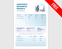 Monthly Budget Report - free Google Docs Template