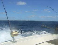 Top 5 Reasons to Book Private Fishing Charter