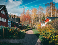 Puolarmaari allotment garden and cottages 2