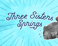 Three Sisters Springs Brochure & Map Design