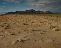 Lower Sonoran Desert Visual Documentary