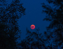 THE RED DANCE OF MOON AND MARS