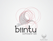 Biintu Software Lab