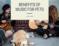 Benefits of Music for Pets
