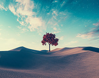 DUNESCAPES: LONE TREE