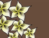 Plumeria Doodle