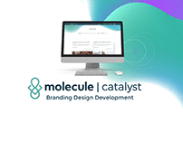 Molecule Brand Dev: Molecule Catalyst
