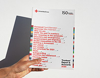 British Red Cross Trustees' Report 2020