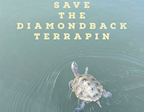 Bycatch Reduction Devices Save Lives