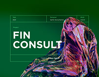 Website design development fin-consult