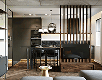 Visualizations of the male apartment design