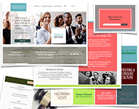 The National Center for Equity & Agency Website Project