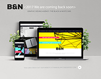 B&N Website